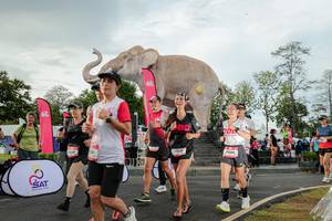 BIB: 
                            <button type="button" onclick="openModal(26528341)" class="btn btn-primary btn-sm float-right btn-popup" data-toggle="modal" data-target=".modal-high-quality">
                        <i class="fas fa-shopping-cart"></i> Add to Cart
                    </button>
                                            <button type="button" onclick="isThisMe(26528341, true)" class="btn btn-success btn-sm float-right btn-popup btn-isme hidden" data-toggle="tooltip" data-placement="bottom" title="นี่คือรูปของคุณใช่ไหม คลิกที่นี่เพื่อเอาเข้าอัลบั้ม">
                        <i class="fas fa-plus"></i> Add to album
                    </button>
                    <button type="button" onclick="isThisMe(26528341, false)" class="btn btn-warning btn-sm float-right btn-popup btn-isnotme hidden">
                        <i class="fas fa-ban"></i> Remove from album
                    </button>